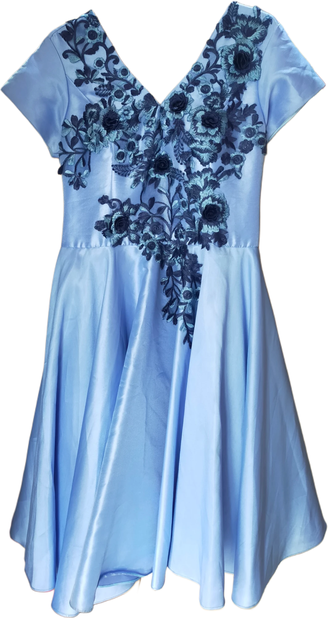 Blue Gown 