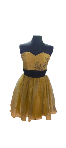 Gold Dress