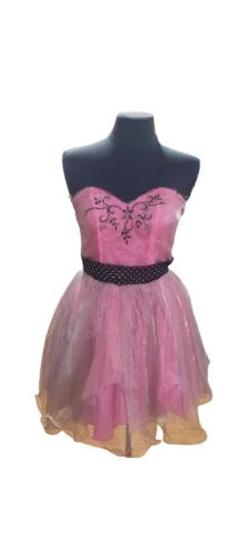 Pink Dress